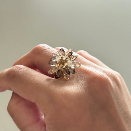 HIMAWARI  Ring