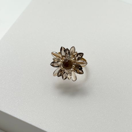 HIMAWARI  Ring
