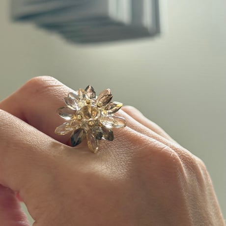 HIMAWARI  Ring