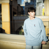 ルーズサイズ長袖Tシャツ＜DIEGUITO＞（G691-069）