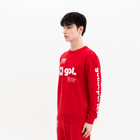 裏パイルスウェットシャツ＜LOGOS＞（G693-061）