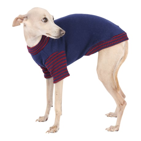 Art. 3196 sweater Cameron