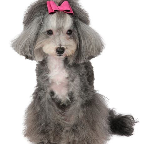Art. A140N hair-clip Kiki