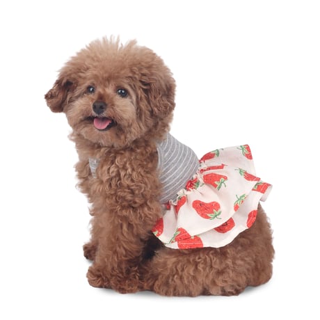 Berry Bloom Cami Dress_Red Berry
