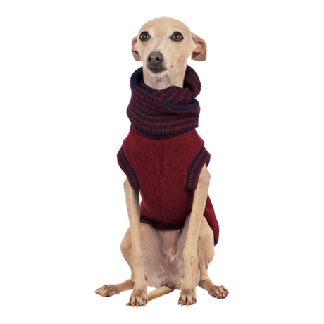 Art. 3195 sweater Ange