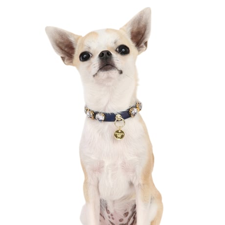 Art. f1676N collar Victoria