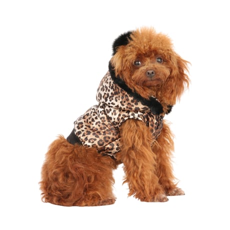 Art. 1571 quilted jacket Leo
