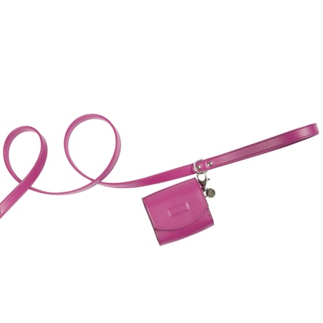 Art. h1566NOB leash Hermes (ゴールド仕様)