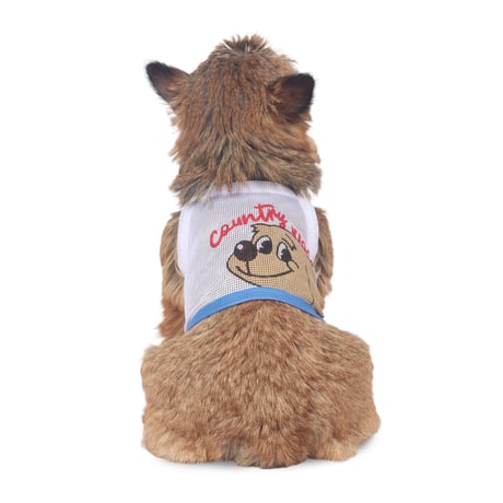 【即納】　Country dogⓇ Mesh Crop Top_White