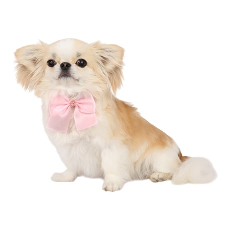 Art. f1678N collar Lili