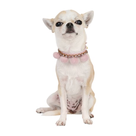 Art. f1670N collar Bon Bon