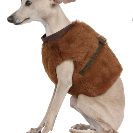 Art. 9026 harness jacket Bellami