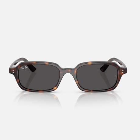 Ray -Banレイバン RB4455F ZURI 1359/87
