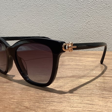 TIFFANY&CO.ティファニー TF4241-D 8001/3C