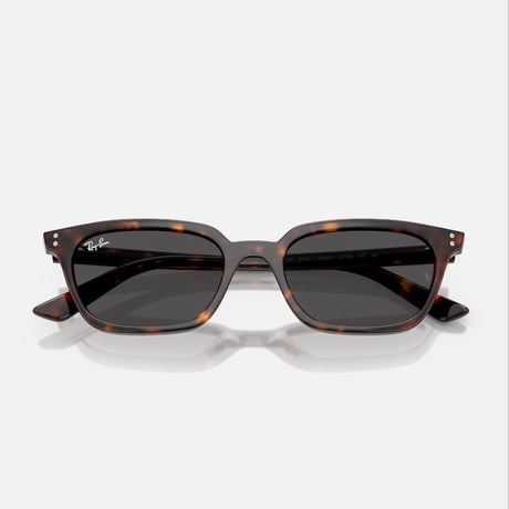 Ray -Banレイバン RB4456F ZAYA 1359/87