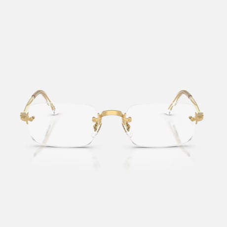 Ray-Ban レイバン RB3928V 2500