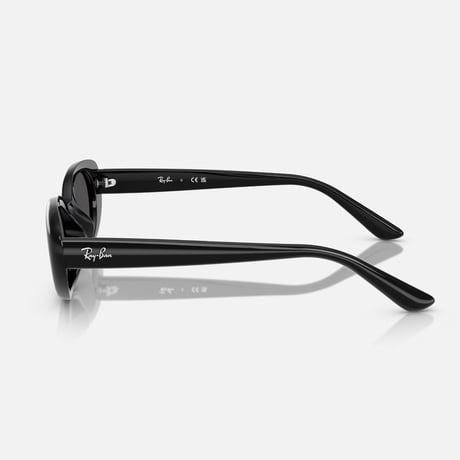 Ray -Banレイバン RB4441D 667/87