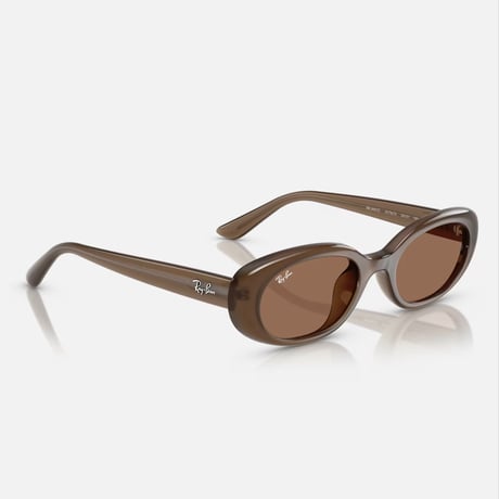 Ray -Banレイバン RB4441D 6779/73