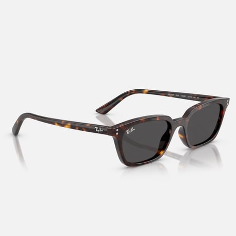 Ray -Banレイバン RB4456F ZAYA 1359/87