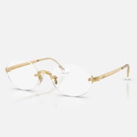 Ray-Ban レイバン RB3929V 2500