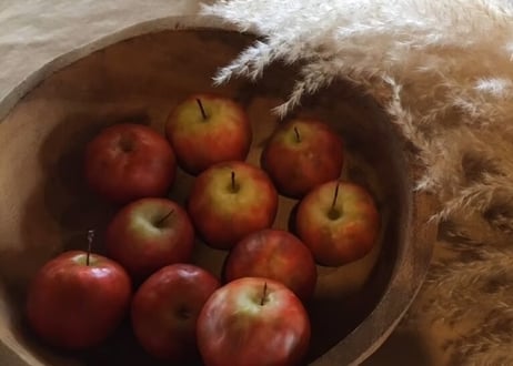 【11月LESSON 】AUTUMN APPLE / てごねりんご