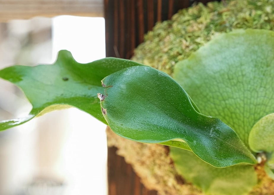 6aa8c9edb2c4102ed4534e69