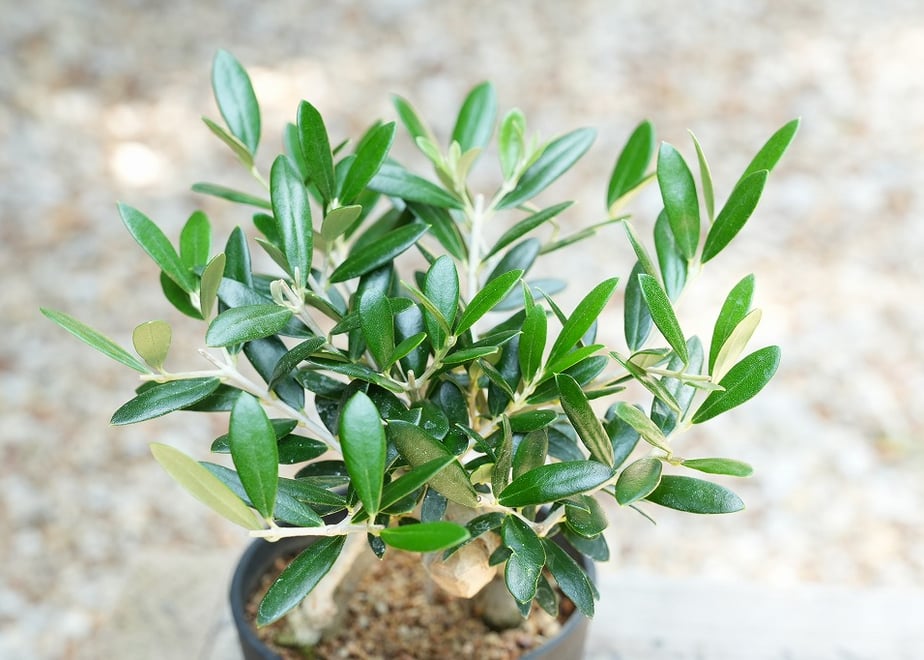 6a55d3c18c0c274600948d0a