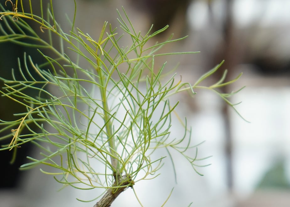 6ac70210975aba9e3db69aa2
