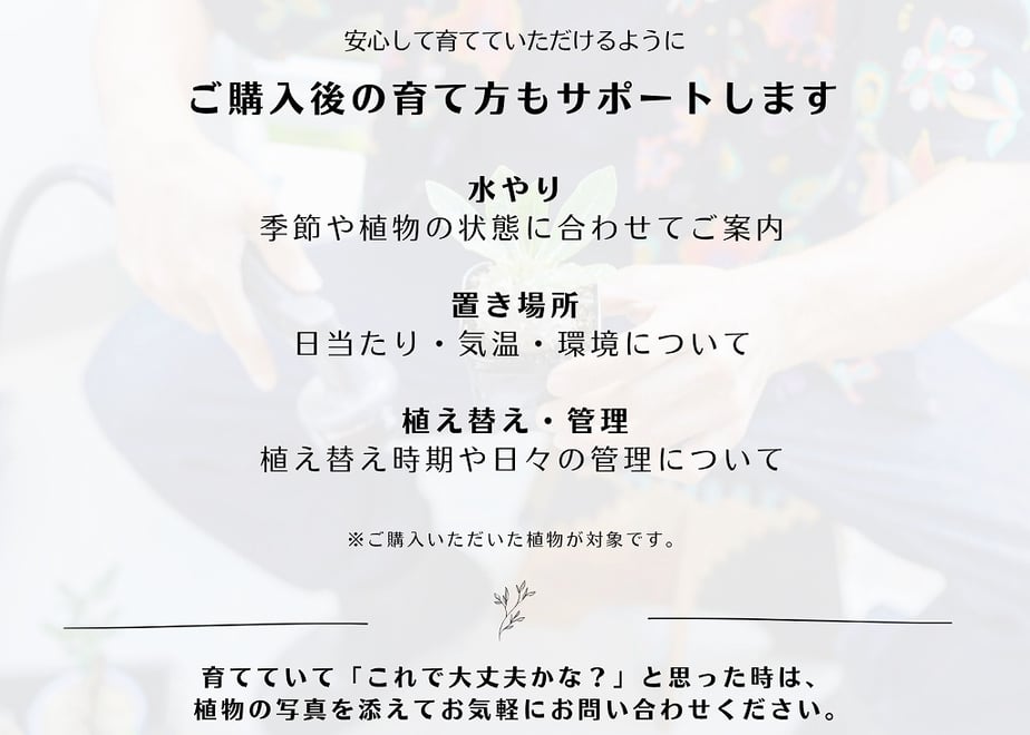 69f6c739f56a72d87cc14fec