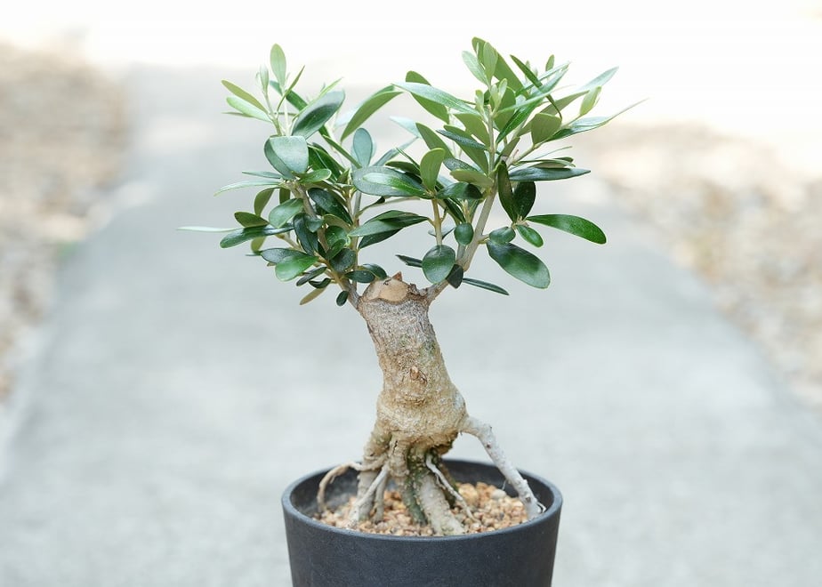 6a7402f12390bc453d014cae