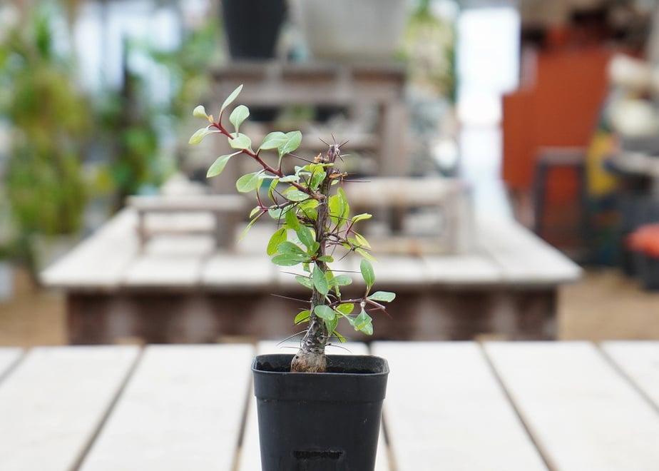 6aa3af5214fc98af487a3b73