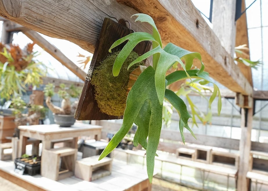 6aa8b19ac60d9596451af25a