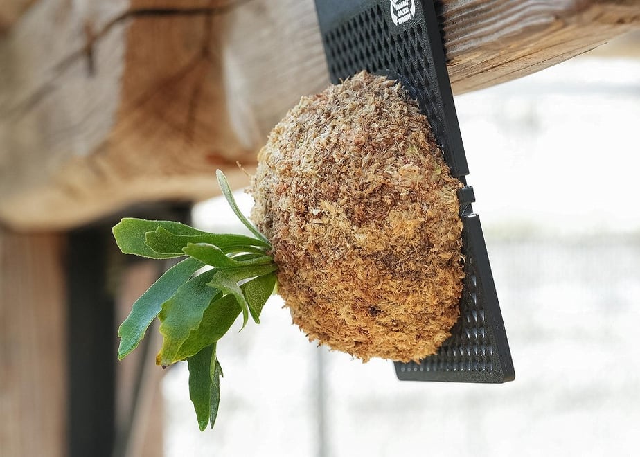 6aa8a71516a8bc721072154d