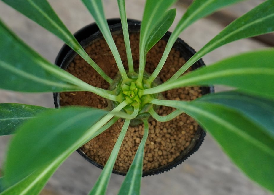 6ab0c4a37c4a9dd7fde269ed
