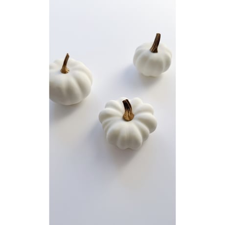 【早割】White pumpkins / 3pcs set
