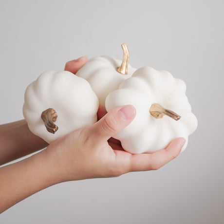 【早割】White pumpkins / 3pcs set