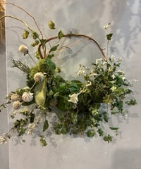 ブプレと千日紅