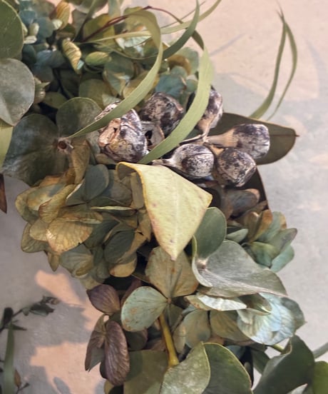 秋色紫陽花とユーカリのリース