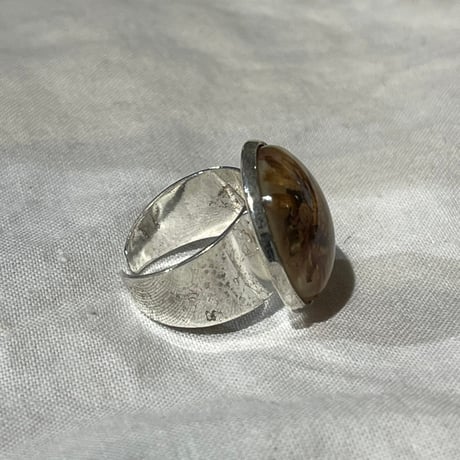 accessory 604[ge600]