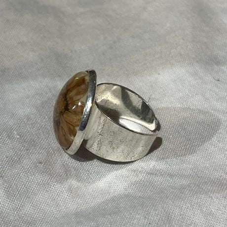 accessory 604[ge600]