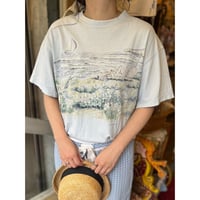 tops 786[na569]