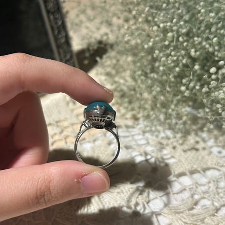 accessory 623[ge709]
