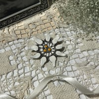 accessory 634[ge719]