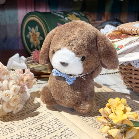 animal 560[AN569]