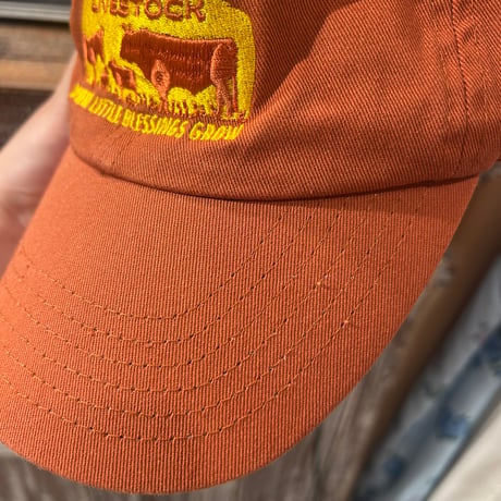 hat 236[na589]