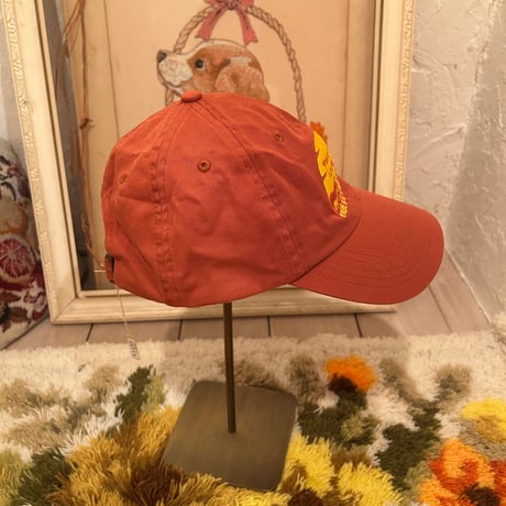 hat 236[na589]