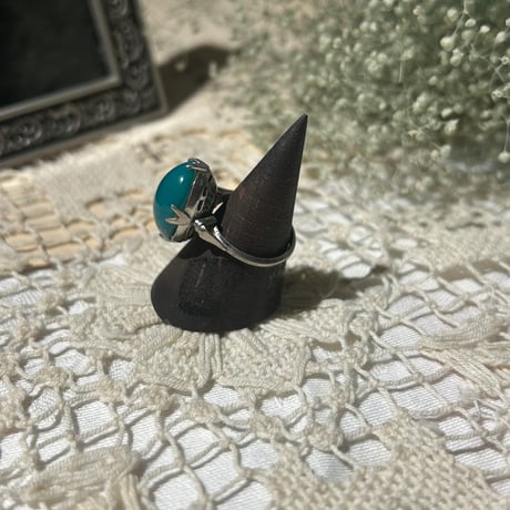 accessory 623[ge709]