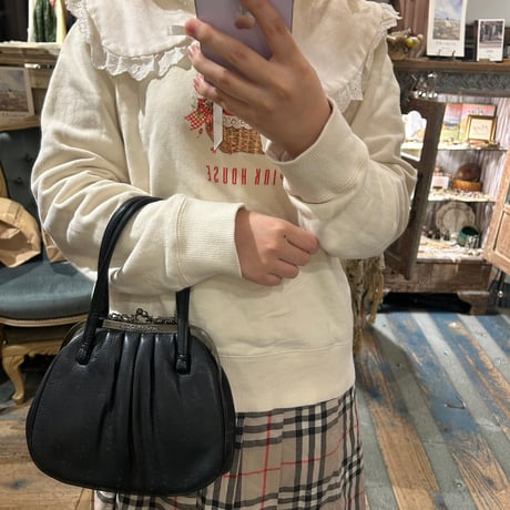 bag 393[na113]