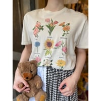 tops 782[na513]