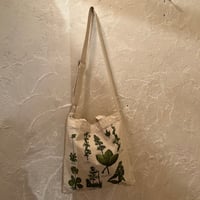 bag 359[ge476]